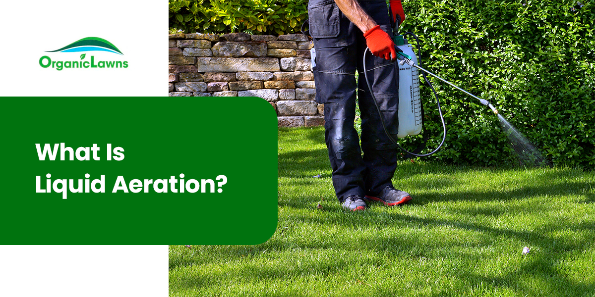 what is liquid aeration