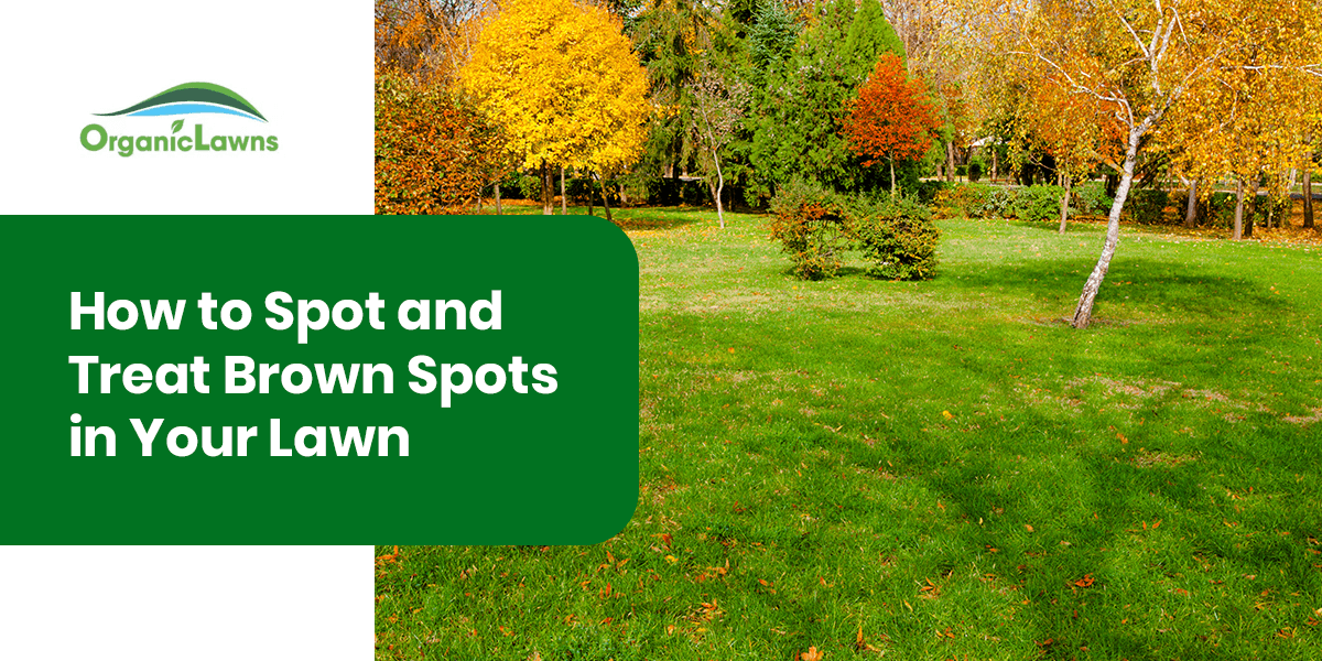 a lawn with the words how to spot and treat brown spots in your lawn