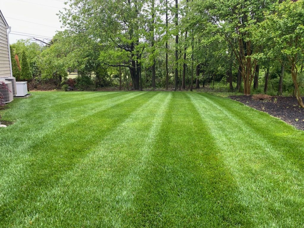 Lawn Services in Bowie, Maryland