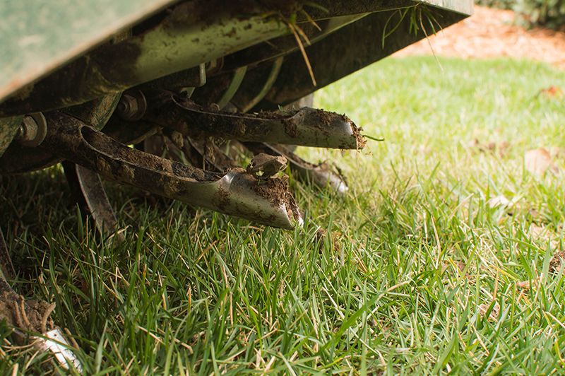 A lawn aerator pulling cores from yard.