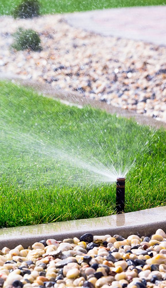 Sprinkler system watering a lawn.