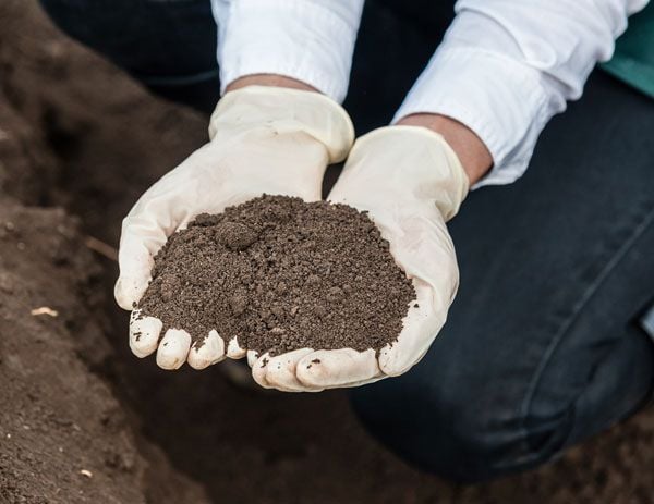 soil testing services