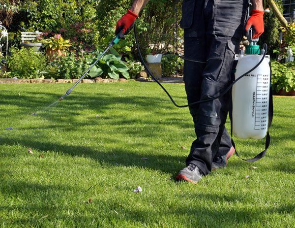 weed control with sprayer