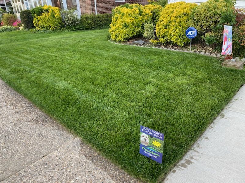 green lawn by sidewalk