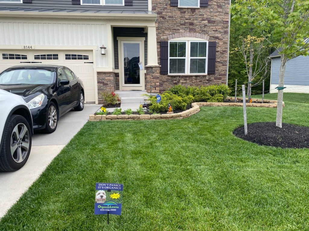 front yard and landscape