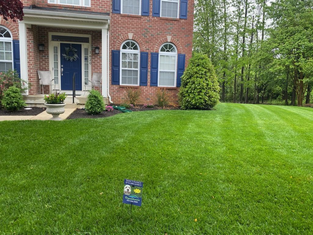 organic front lawn outside of house