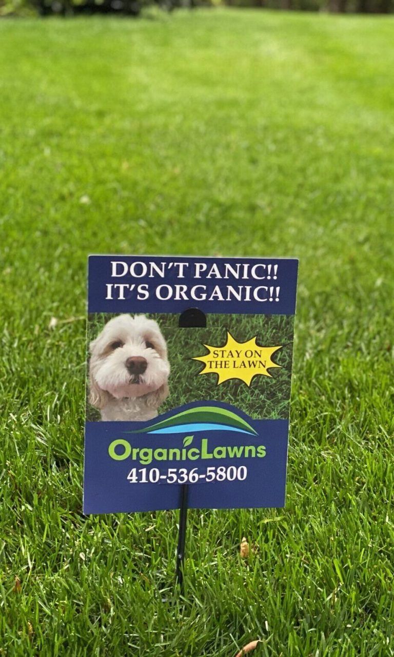 Pet Friendly Lawn Care Services in Maryland Pet Safe Lawn Care