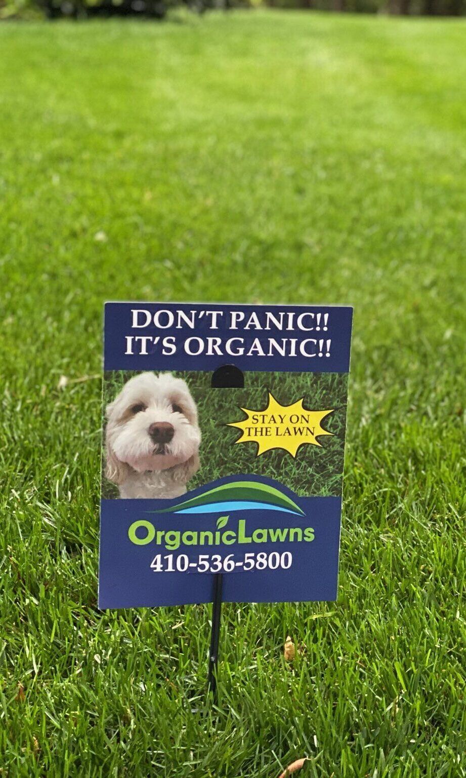 pet safe organic lawns