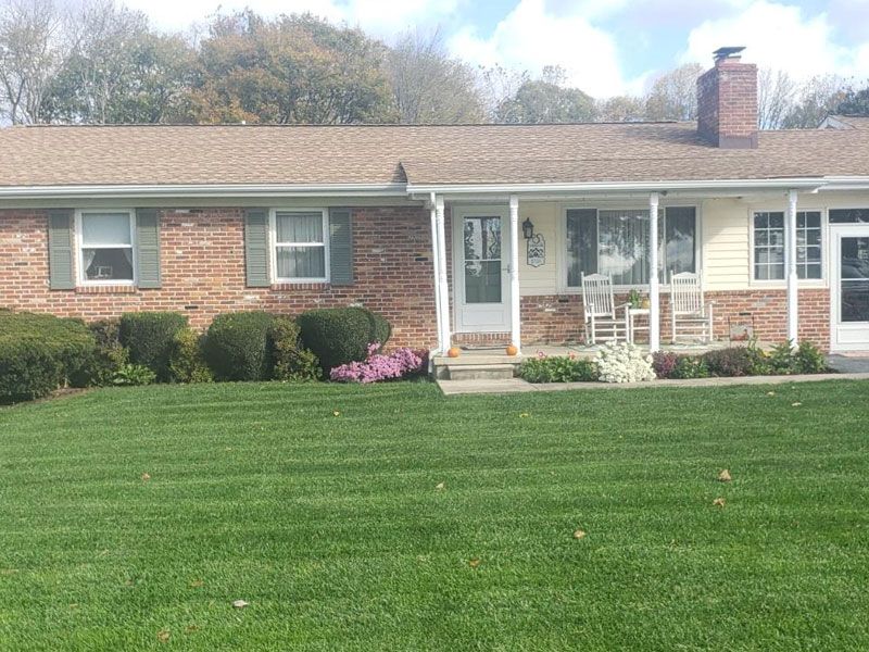 fresh green front lawn