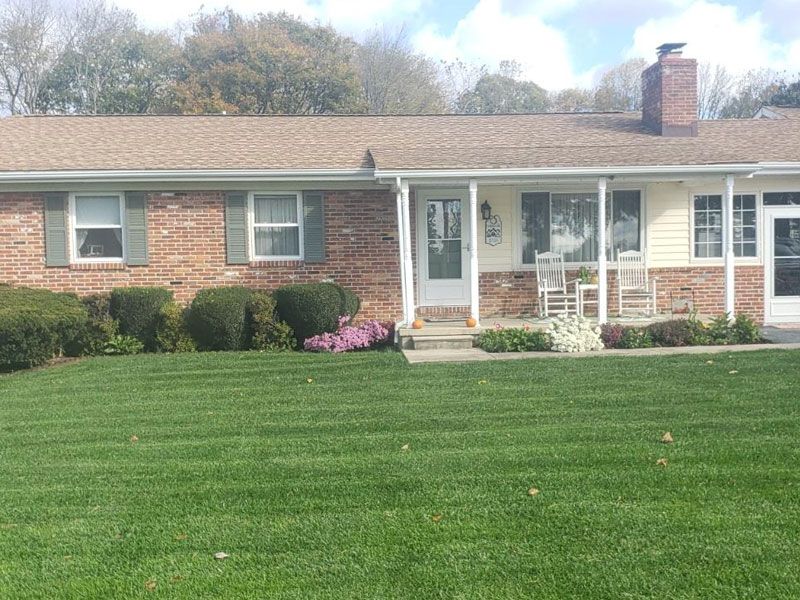 fresh green front lawn