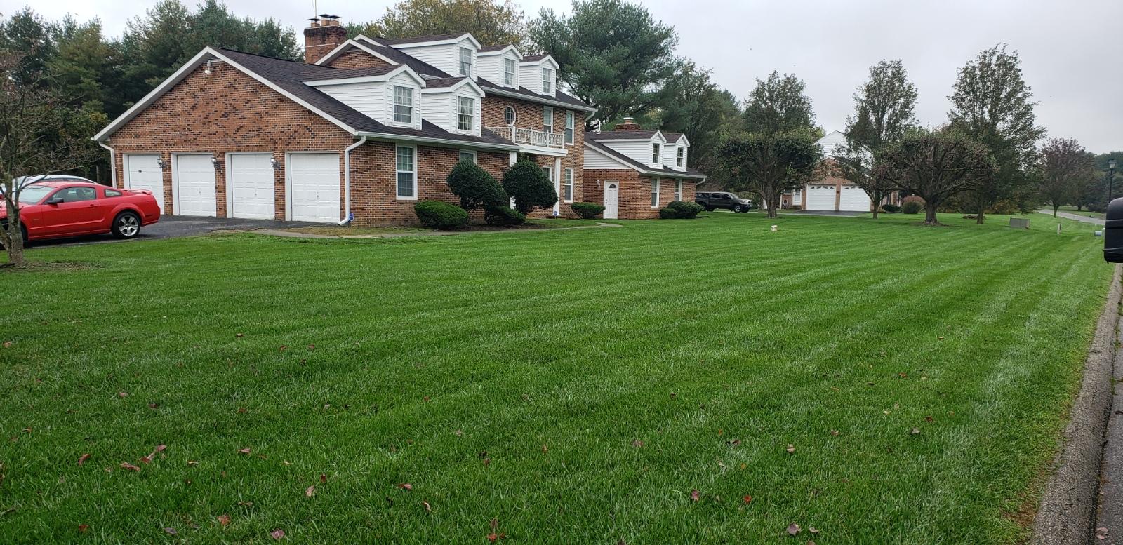 fresh green front yard