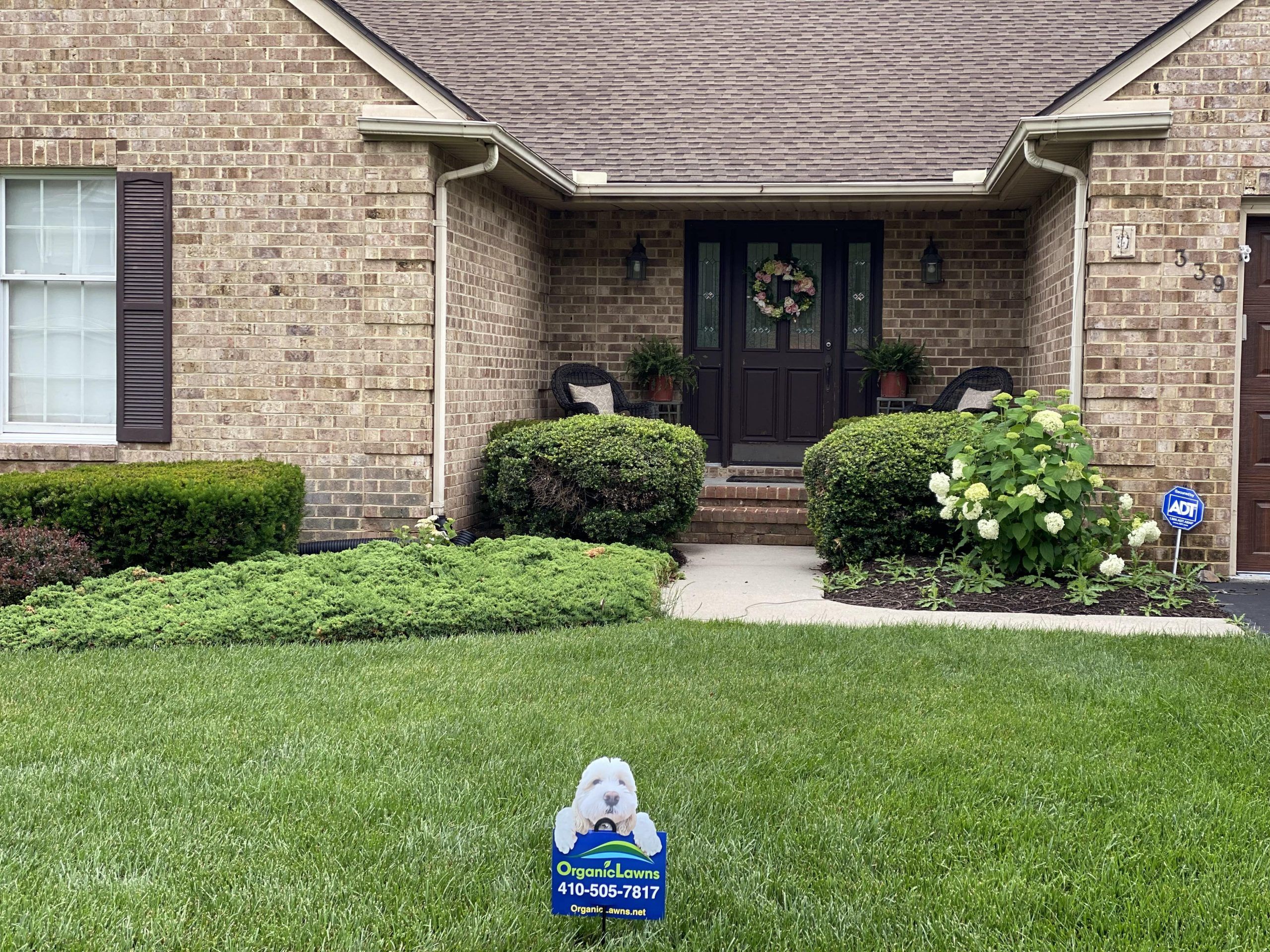 organic green front lawn