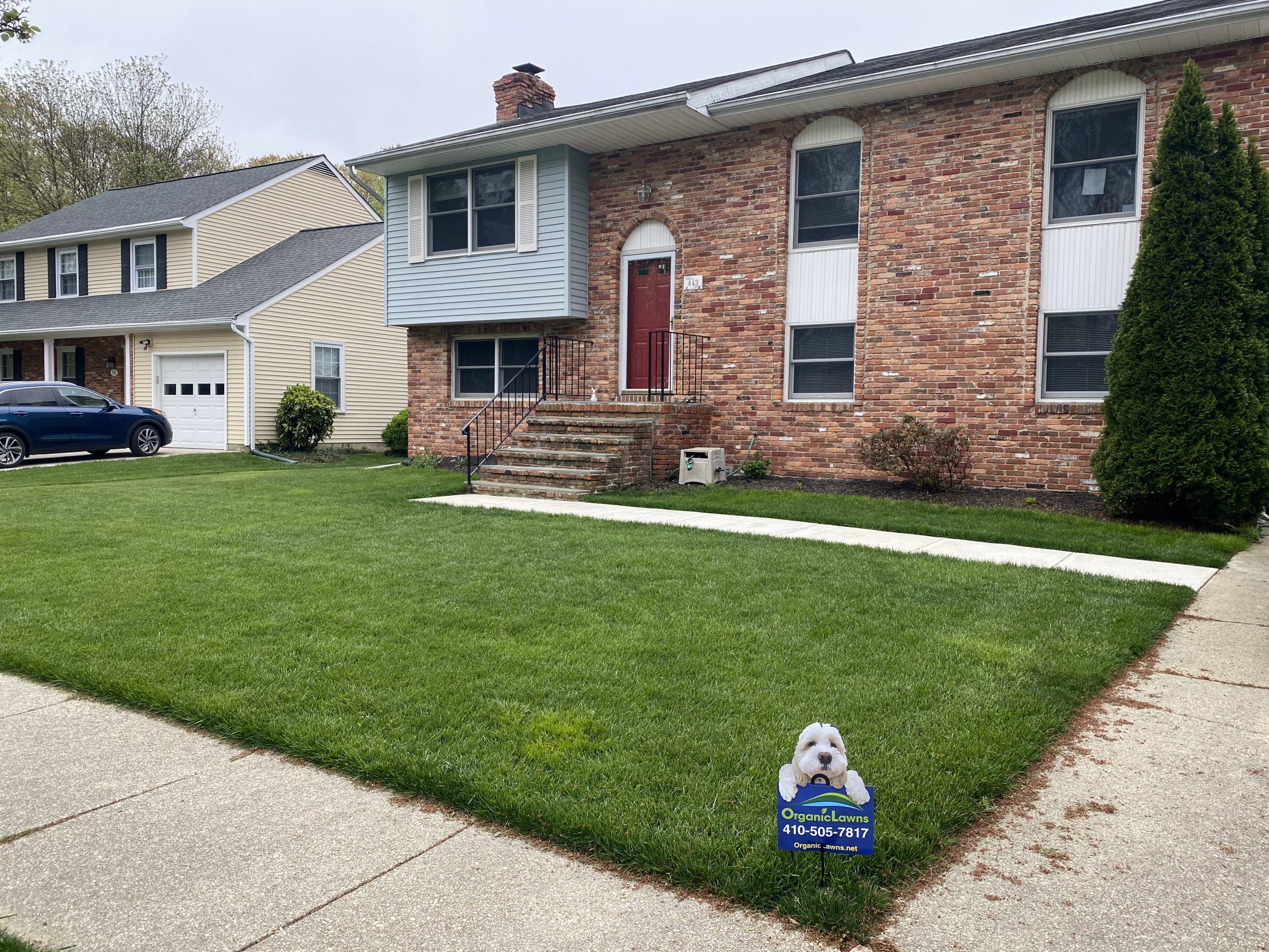 small front yard with green lawn