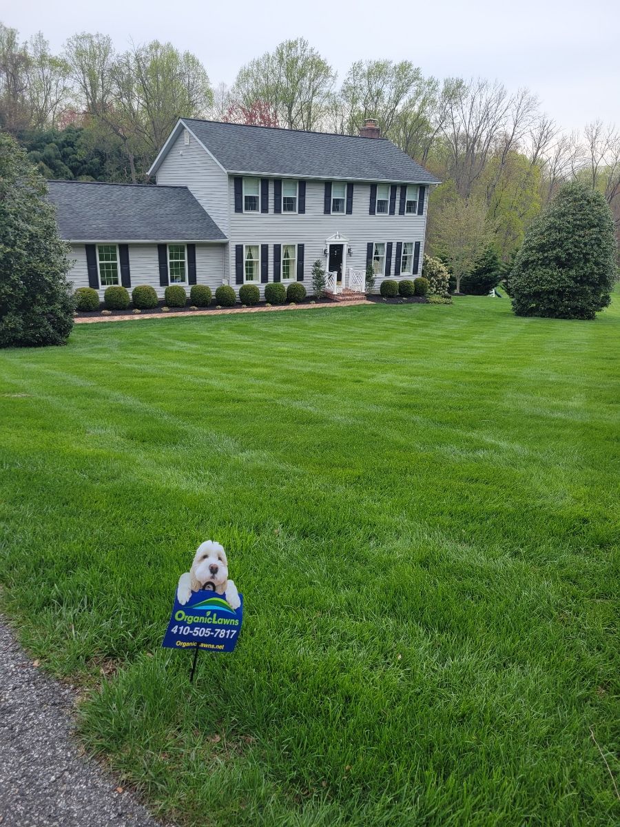 organic green front lawn