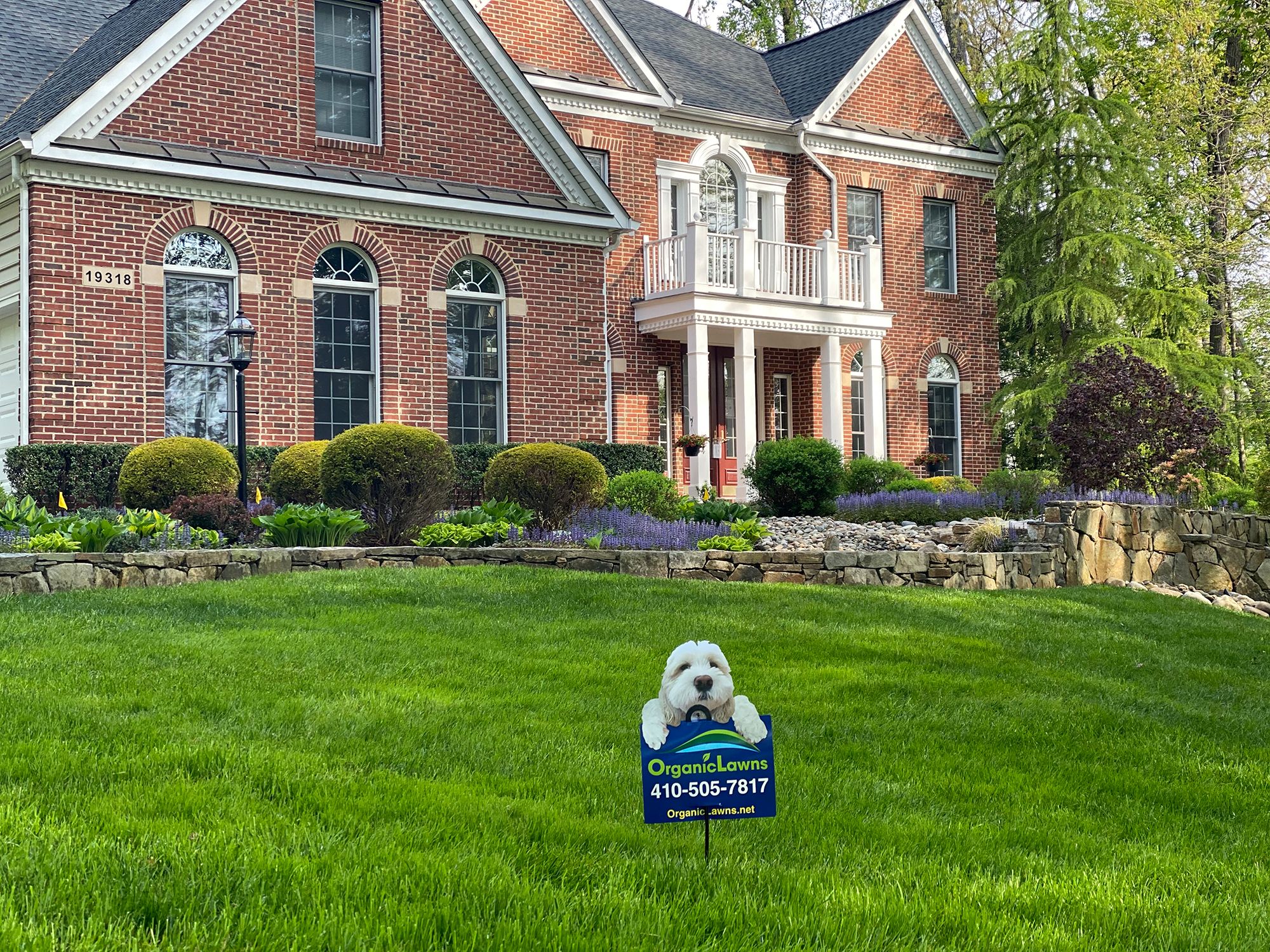 green lawn and landscape