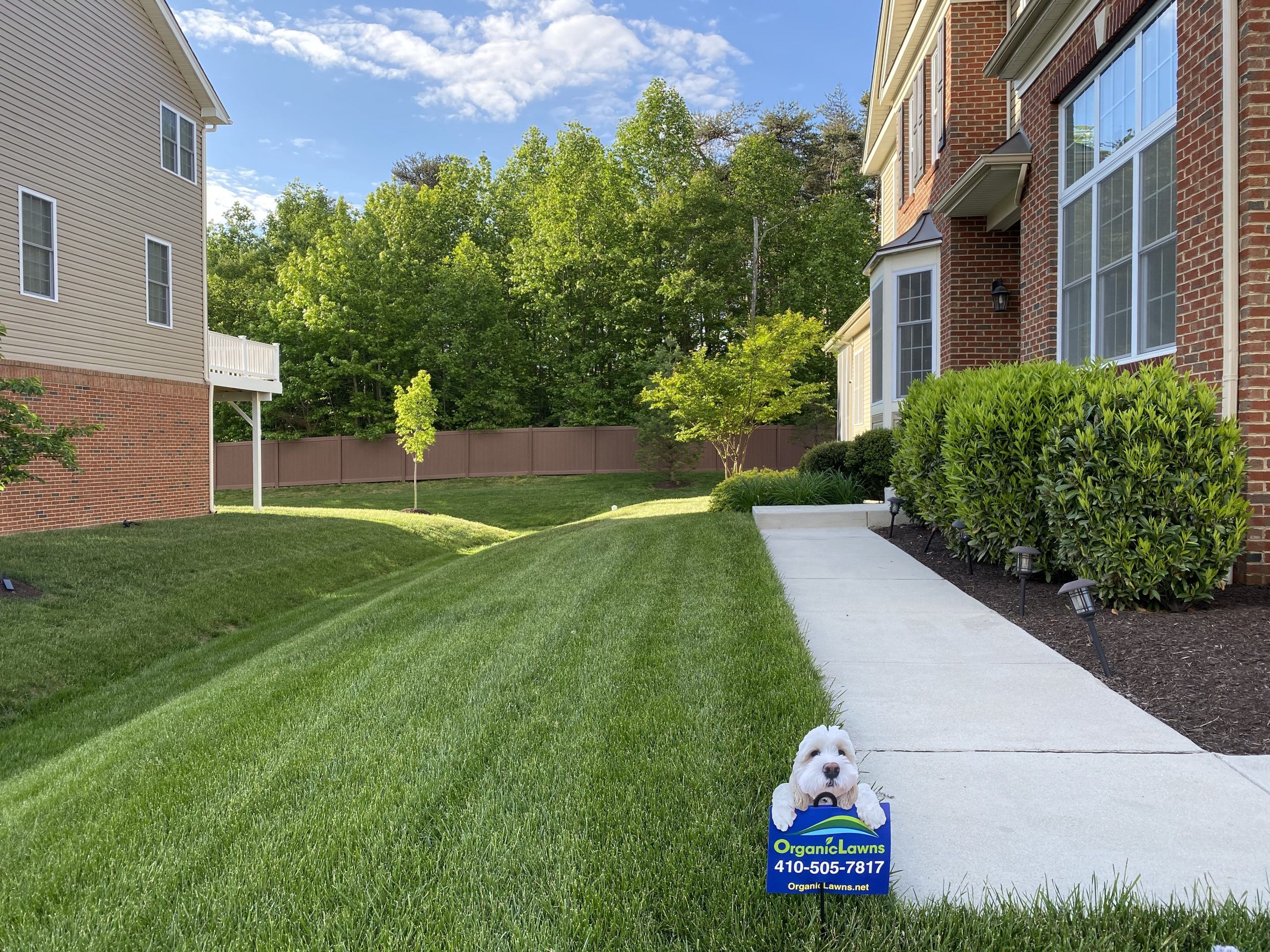 green side yard