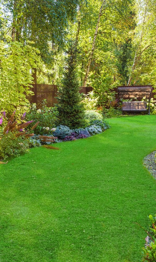 green lawn with garden