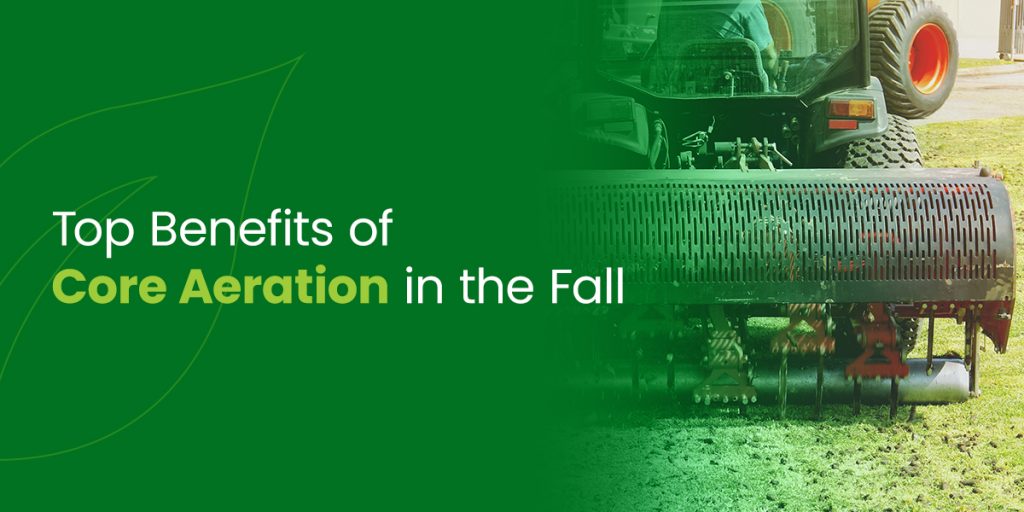 Top Benefits of Core Aeration in the Fall Organic Lawns