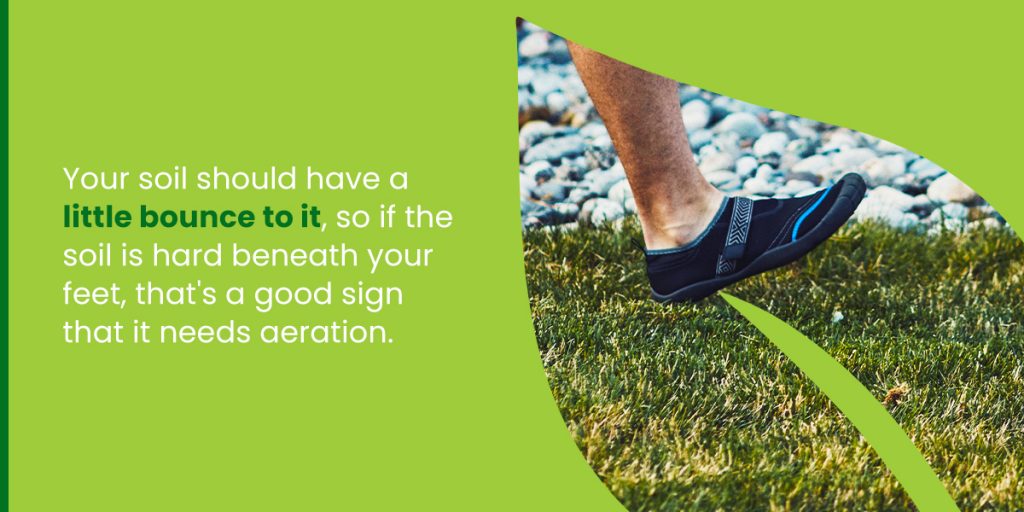 Top Benefits of Core Aeration in the Fall Organic Lawns