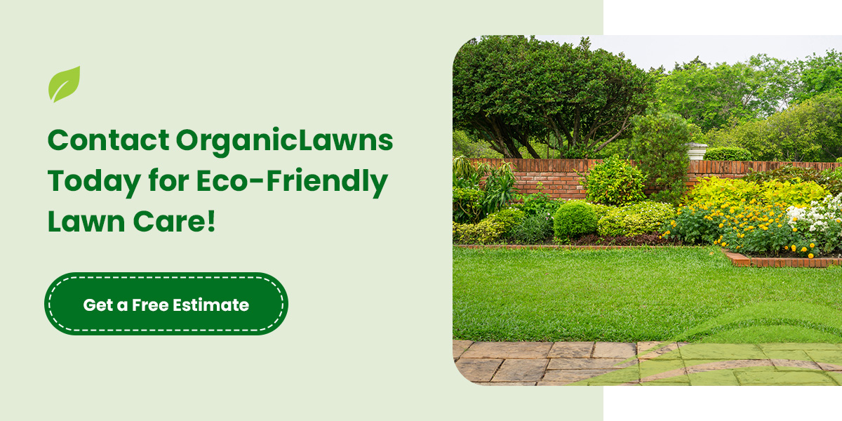 Contact OrganicLawns Today for Eco-Friendly Lawn Care!