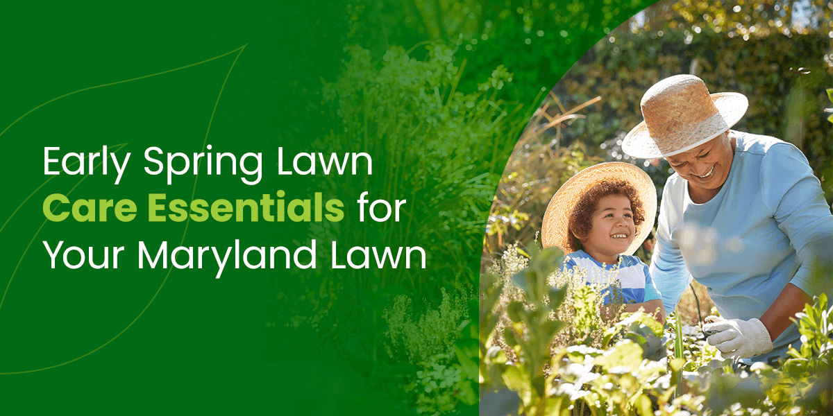 Early Spring Lawn Care Essentials for Your Maryland Lawn   
