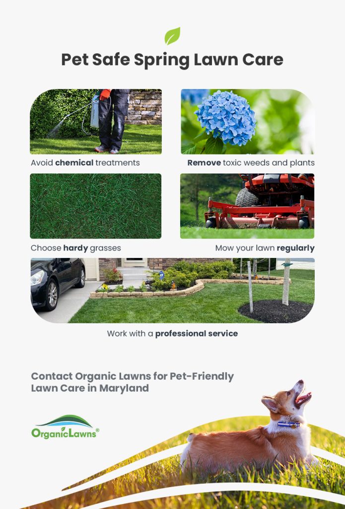 Snapshot of Lawn Care Products With Anthelmintics And Dogs Safety