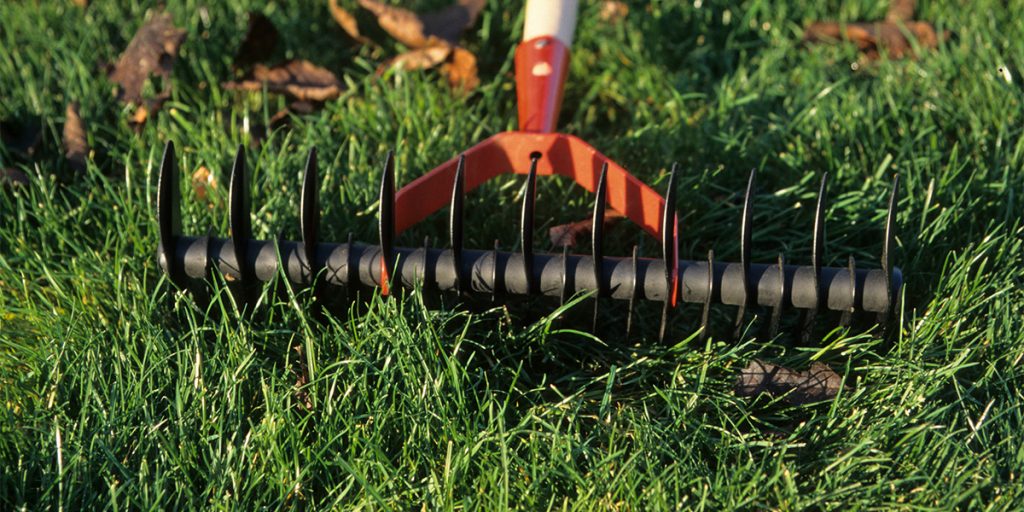 Core Aeration vs. Liquid Aeration What's the Difference?