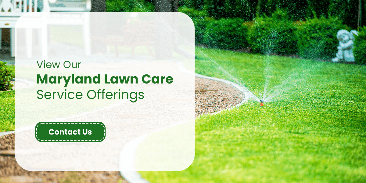 View Our Maryland Lawn Care Service Offerings