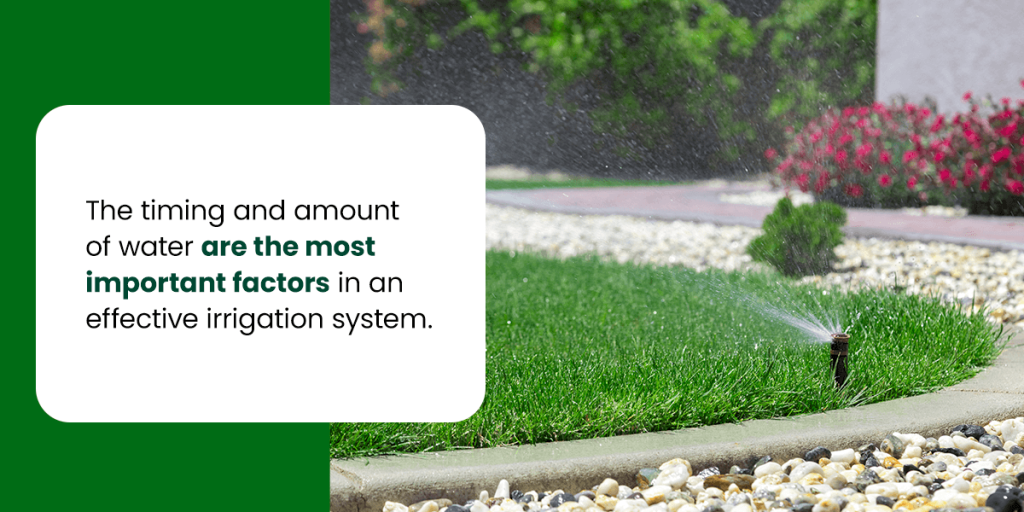 graphic showcasing a lawn getting irrigated and with a caption saying the timing and amount of water is important 