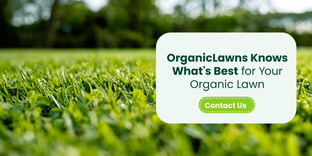 graphic for organic lawns with a link to Contact Organic lawns for the best information on organic lawn care