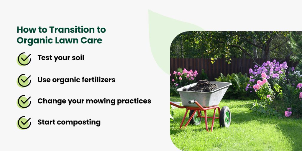 The Benefits of Organic Lawn Care: A Comprehensive Guide - Organic Lawns
