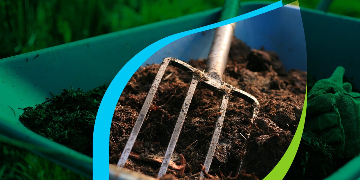 Understanding the Role of Composting in Organic Lawn Care