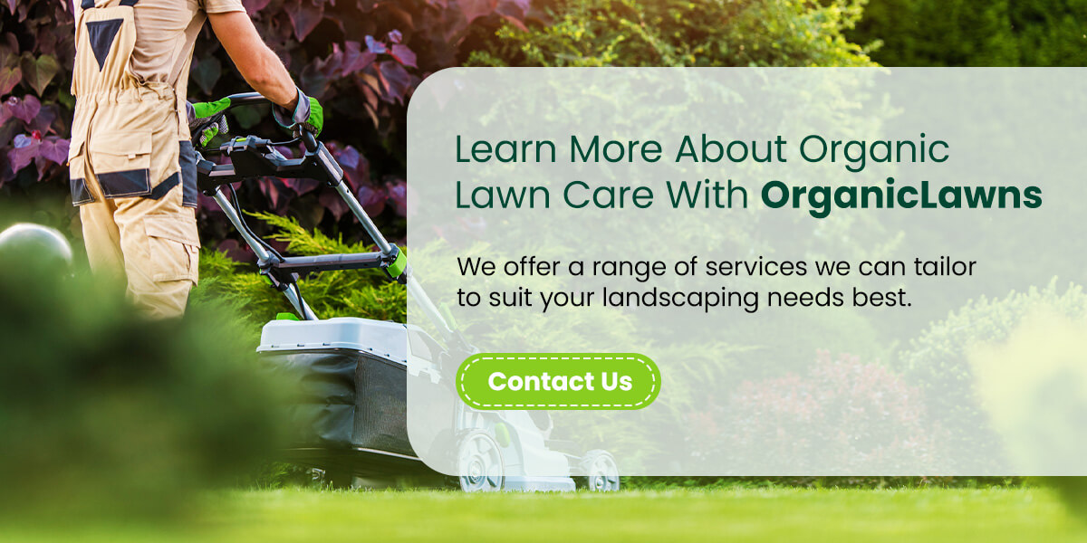 Learn More About Organic Lawn Care With OrganicLawns