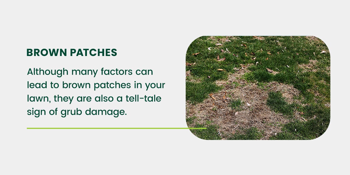 Brown patches